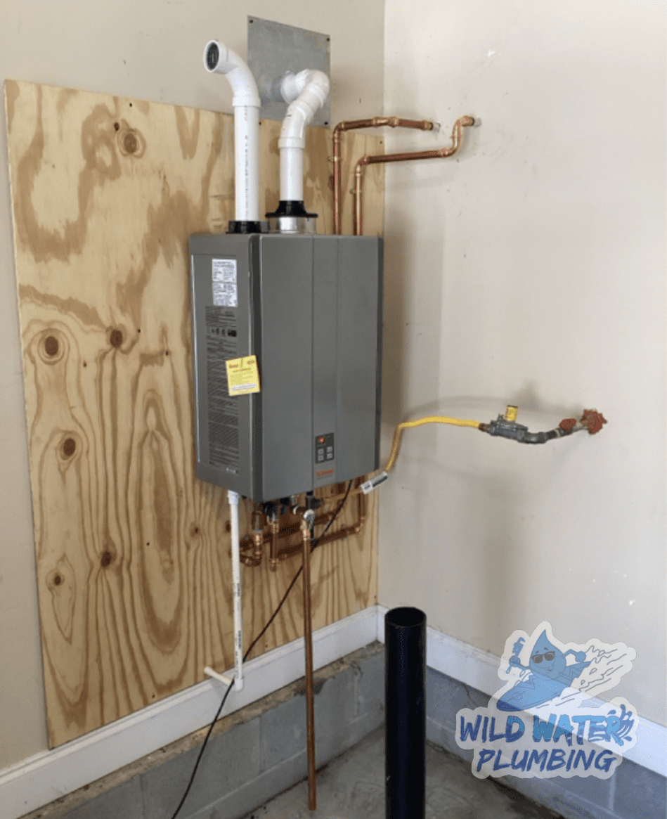 Tankless Water Heater