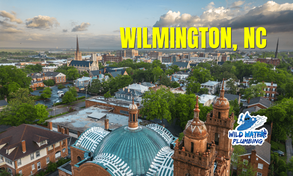 Common Plumbing and Electrical Issues in Wilmingtons