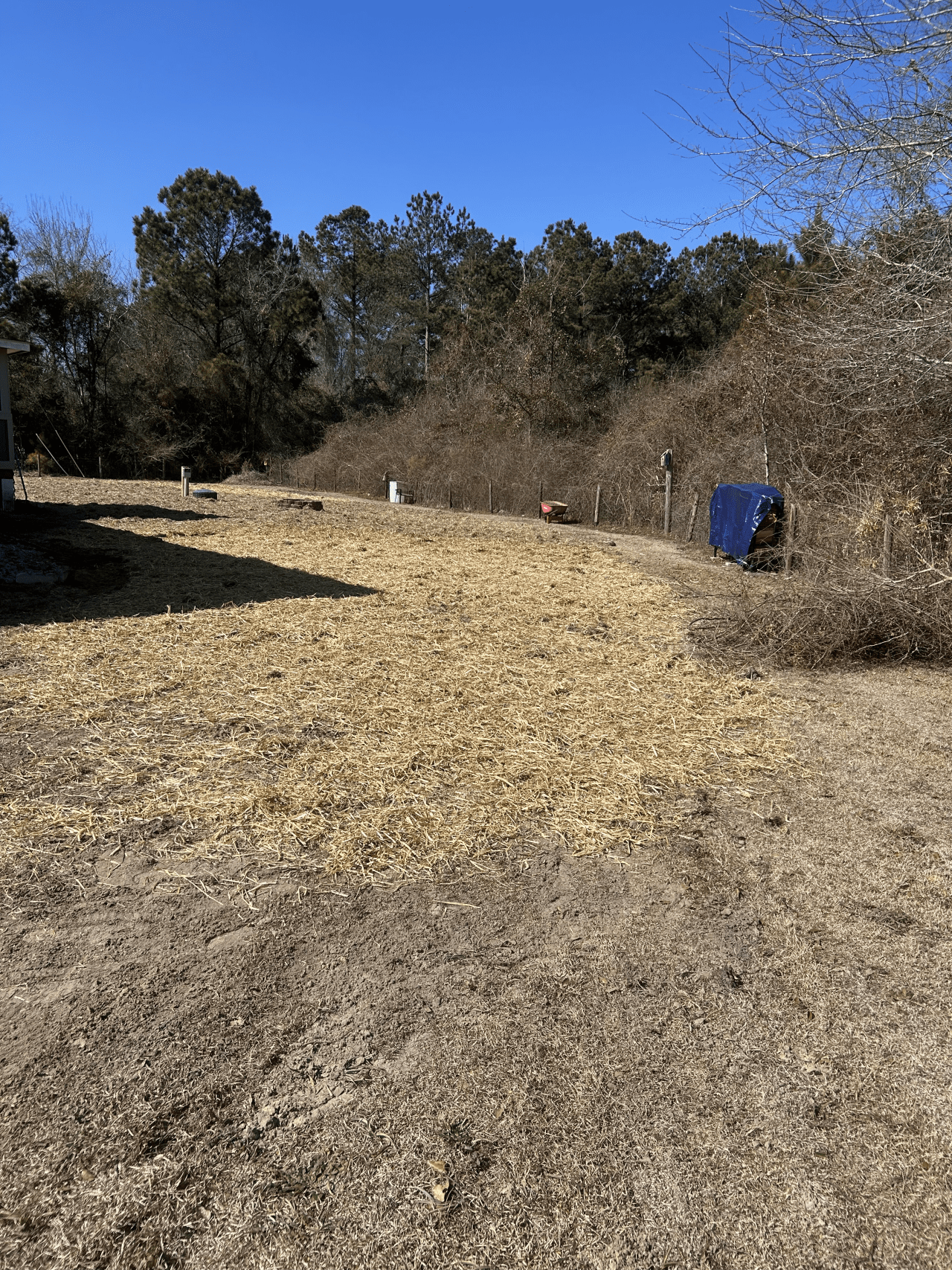 septic system installation (11)