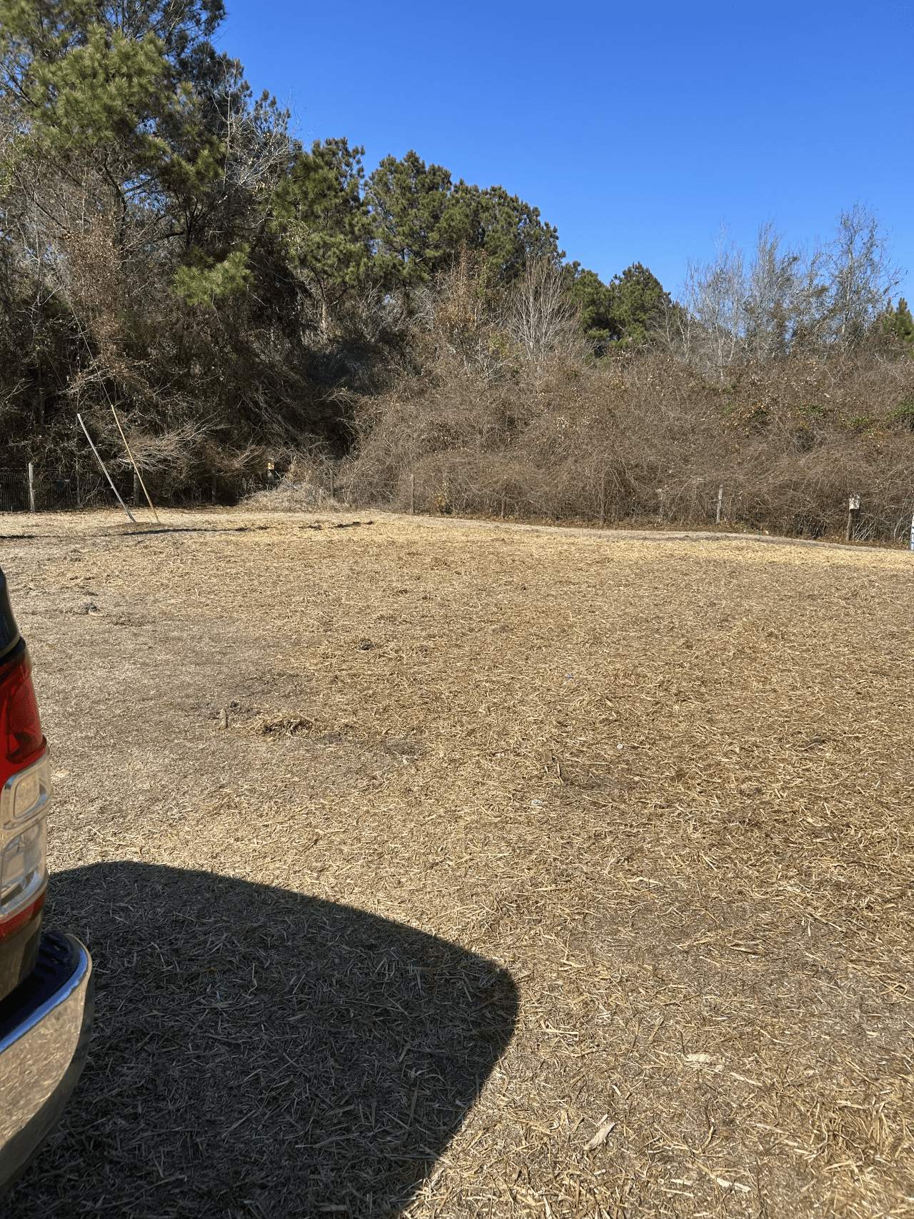 septic system installation (4)